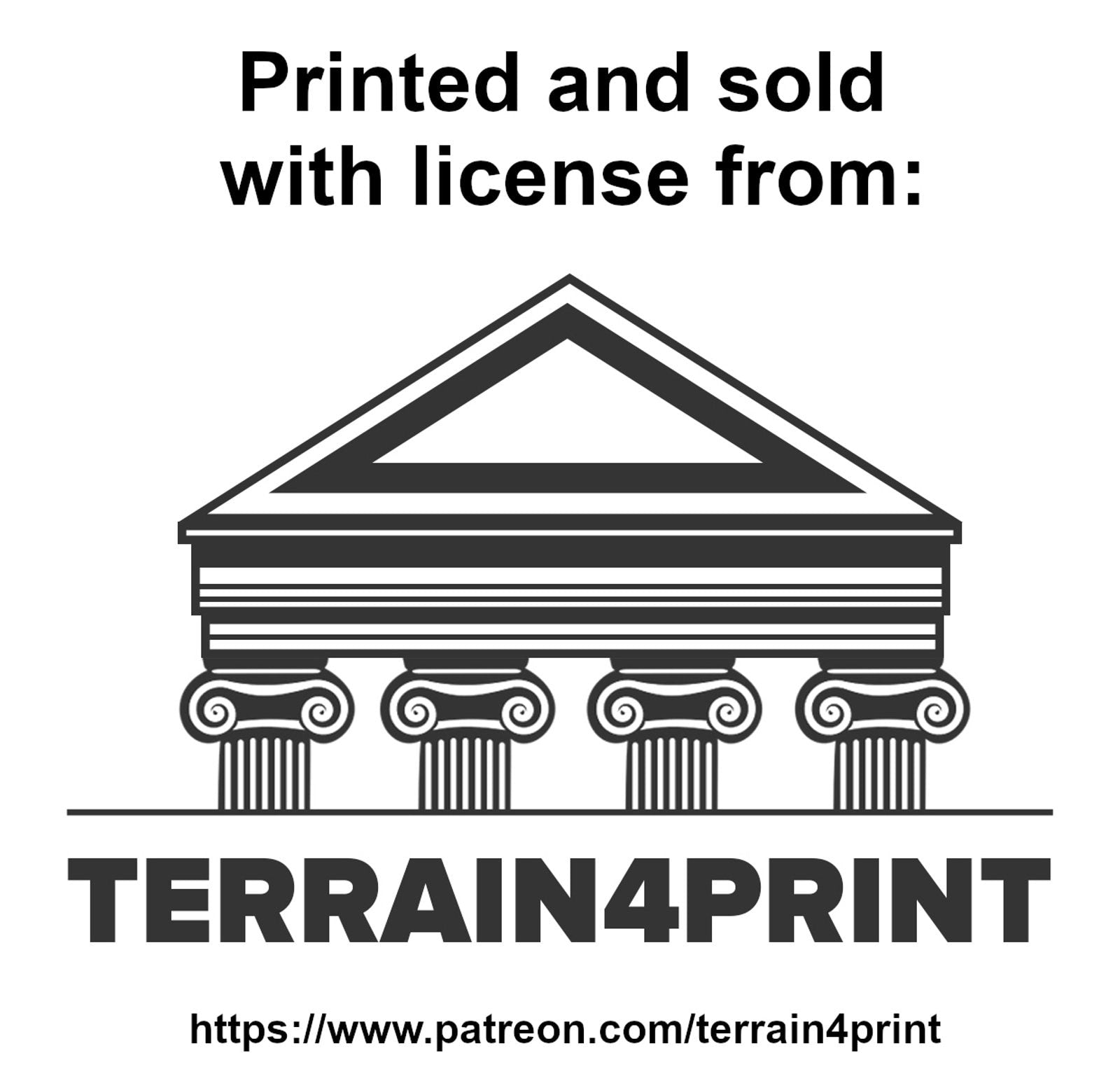 Fantasy Ruins Terrain #2 / 25mm or 30mm Tabletop Wargaming Terrain / Print to Order / Licensed Printer